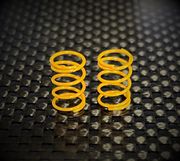RJ SPEED Legends Front Springs